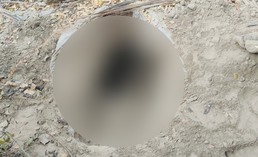 কালিয়াকৈরে ৯ কবর থেকে কঙ্কাল চুরির অভিযোগ, তদন্তে পুলিশ